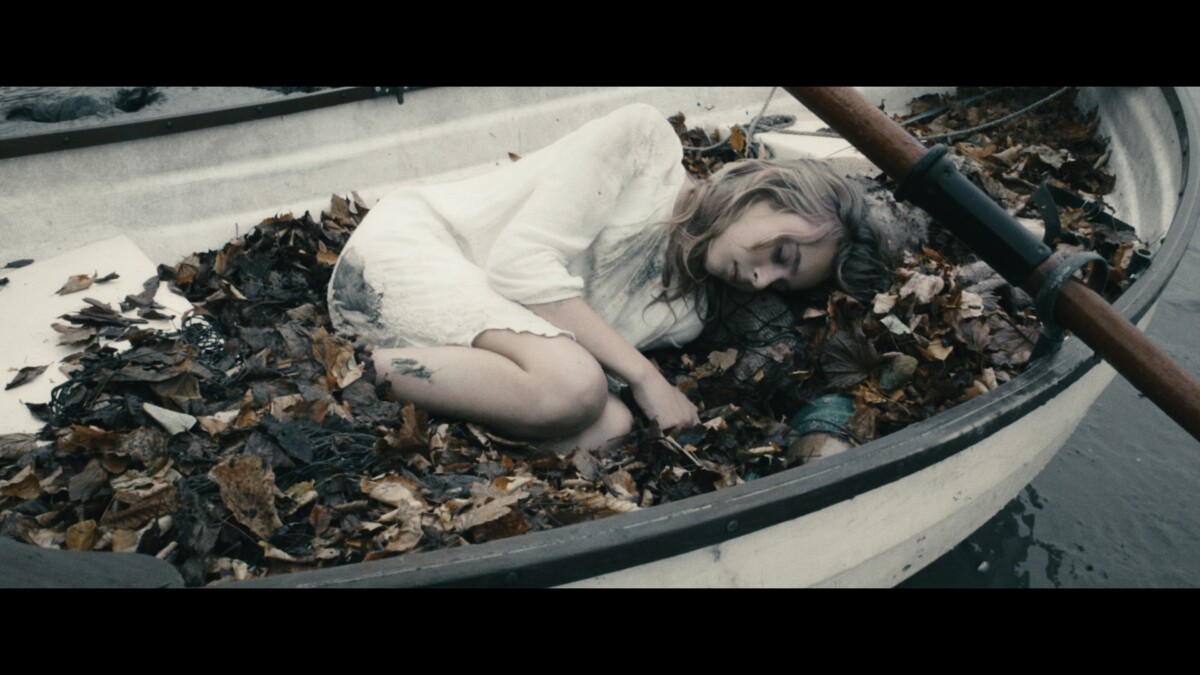 Still 2026-02-05 113058_2.2.1.POST