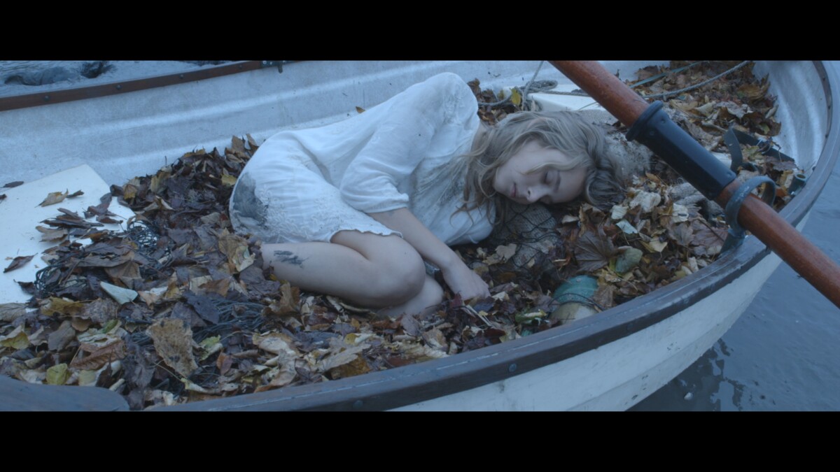 Still 2026-02-05 113102_2.2.2.POST